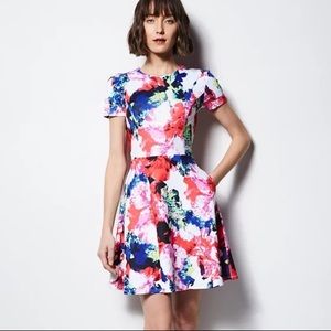 MILLY for DesigNation Floral Fit & Flare Scuba Dress Size 8